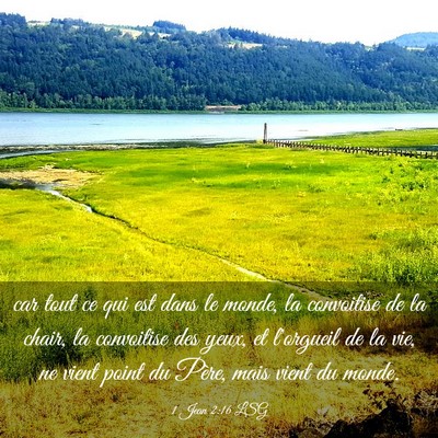 Picture 03 - 1 Jean 2:16 LSG - car tout ce qui est dans le monde, la convoitise - Bible Verse Picture