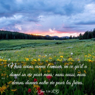 Picture 03 - 1 Jean 3:16 LSG - Nous avons connu l'amour, en ce qu'il a donné sa - Bible Verse Picture