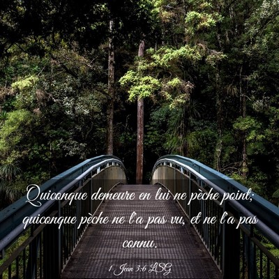 Picture 03 - 1 Jean 3:6 LSG - Quiconque demeure en lui ne pèche point; - Bible Verse Picture