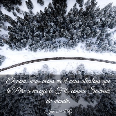Picture 03 - 1 Jean 4:14 LSG - Et nous, nous avons vu et nous attestons que le - Bible Verse Picture