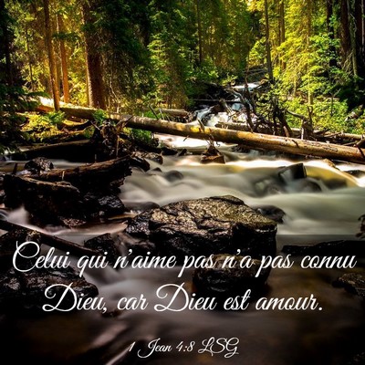 Picture 03 - 1 Jean 4:8 LSG - Celui qui n'aime pas n'a pas connu Dieu, car Dieu - Bible Verse Picture