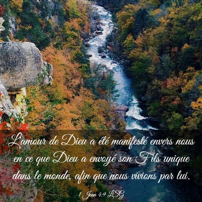 Picture 03 - 1 Jean 4:9 LSG - L'amour de Dieu a été manifesté envers nous en - Bible Verse Picture