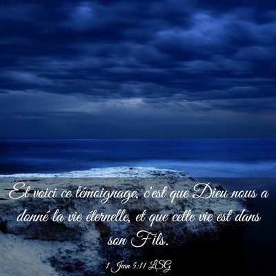 Picture 03 - 1 Jean 5:11 LSG - Et voici ce témoignage, c'est que Dieu nous a - Bible Verse Picture