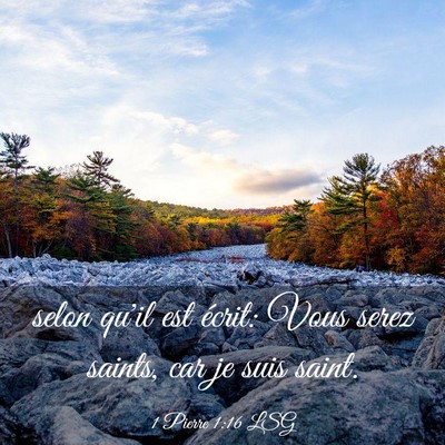 Picture 03 - 1 Pierre 1:16 LSG - selon qu'il est écrit: Vous serez saints, car je - Bible Verse Picture