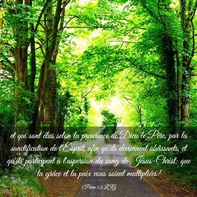 Picture 03 - 1 Pierre 1:2 LSG - et qui sont élus selon la prescience de Dieu le - Bible Verse Picture