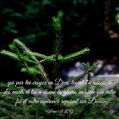 Picture 03 - 1 Pierre 1:21 LSG - qui par lui croyez en Dieu, lequel l'a - Bible Verse Picture