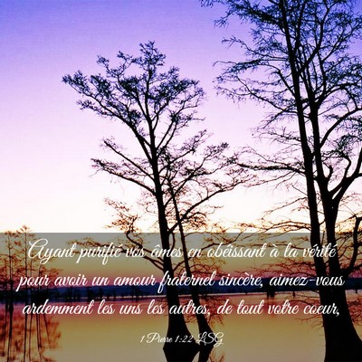 Picture 03 - 1 Pierre 1:22 LSG - Ayant purifié vos âmes en obéissant à la - Bible Verse Picture