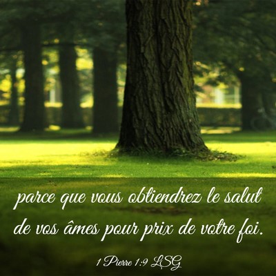 Picture 03 - 1 Pierre 1:9 LSG - parce que vous obtiendrez le salut de vos âmes - Bible Verse Picture