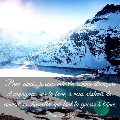 Picture 03 - 1 Pierre 2:11 LSG - Bien-aimés, je vous exhorte, comme étrangers et - Bible Verse Picture