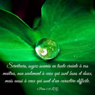 Picture 03 - 1 Pierre 2:18 LSG - Serviteurs, soyez soumis en toute crainte à vos - Bible Verse Picture