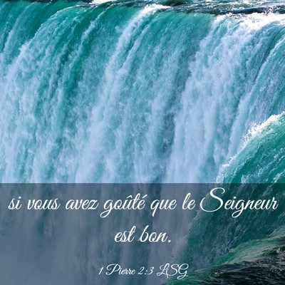 Picture 03 - 1 Pierre 2:3 LSG - si vous avez goûté que le Seigneur est - Bible Verse Picture