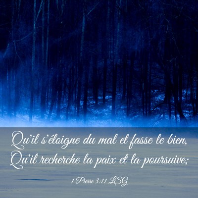 Picture 03 - 1 Pierre 3:11 LSG - Qu'il s'éloigne du mal et fasse le bien, Qu'il - Bible Verse Picture