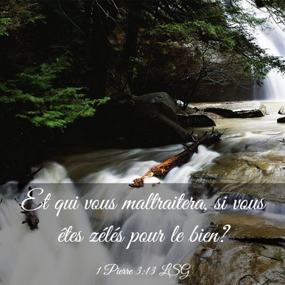Picture 03 - 1 Pierre 3:13 LSG - Et qui vous maltraitera, si vous êtes zélés - Bible Verse Picture