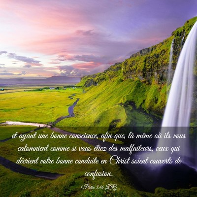 Picture 03 - 1 Pierre 3:16 LSG - et ayant une bonne conscience, afin que, là - Bible Verse Picture