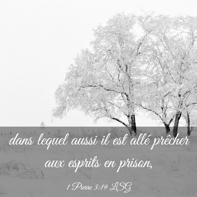 Picture 03 - 1 Pierre 3:19 LSG - dans lequel aussi il est allé prêcher aux - Bible Verse Picture