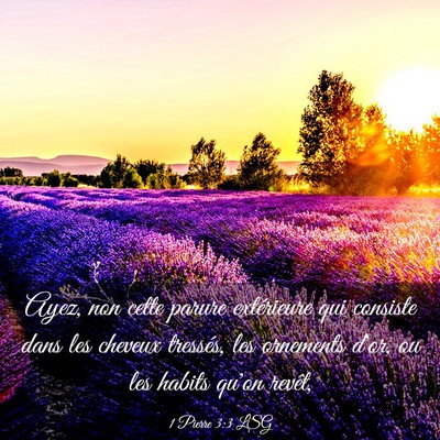 Picture 03 - 1 Pierre 3:3 LSG - Ayez, non cette parure extérieure qui consiste - Bible Verse Picture