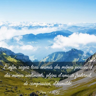 Picture 03 - 1 Pierre 3:8 LSG - Enfin, soyez tous animés des mêmes pensées et - Bible Verse Picture