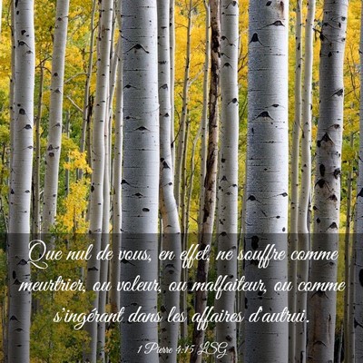 Picture 03 - 1 Pierre 4:15 LSG - Que nul de vous, en effet, ne souffre comme - Bible Verse Picture