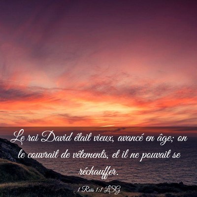 Picture 03 - 1 Rois 1:1 LSG - Le roi David était vieux, avancé en âge; on le - Bible Verse Picture