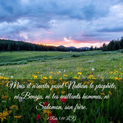 Picture 03 - 1 Rois 1:10 LSG - Mais il n'invita point Nathan le prophète, ni - Bible Verse Picture