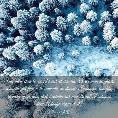 Picture 03 - 1 Rois 1:13 LSG - Va, entre chez le roi David, et dis-lui: O roi - Bible Verse Picture