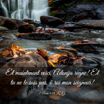 Picture 03 - 1 Rois 1:18 LSG - Et maintenant voici, Adonija règne! Et tu ne le - Bible Verse Picture