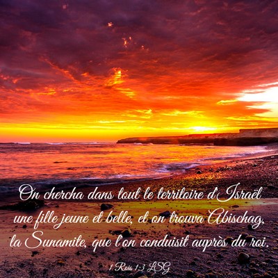 Picture 03 - 1 Rois 1:3 LSG - On chercha dans tout le territoire d'Israël une - Bible Verse Picture