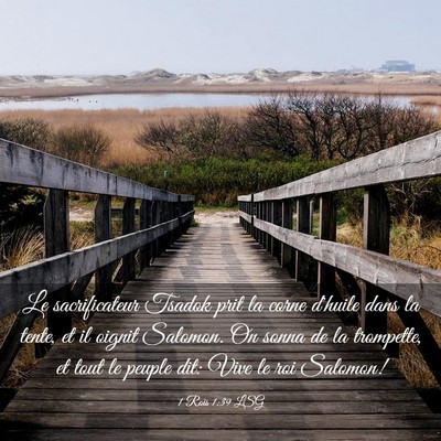 Picture 03 - 1 Rois 1:39 LSG - Le sacrificateur Tsadok prit la corne d'huile - Bible Verse Picture