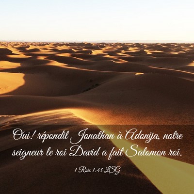 Picture 03 - 1 Rois 1:43 LSG - Oui! répondit Jonathan à Adonija, notre - Bible Verse Picture