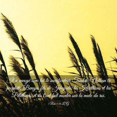 Picture 03 - 1 Rois 1:44 LSG - Il a envoyé avec lui le sacrificateur Tsadok, - Bible Verse Picture