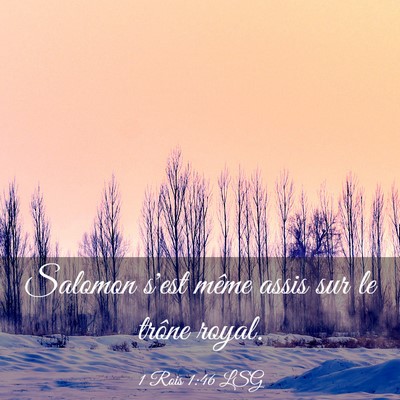 Picture 03 - 1 Rois 1:46 LSG - Salomon s'est même assis sur le trône - Bible Verse Picture
