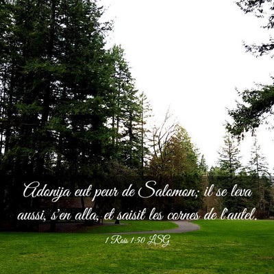 Picture 03 - 1 Rois 1:50 LSG - Adonija eut peur de Salomon; il se leva aussi, - Bible Verse Picture