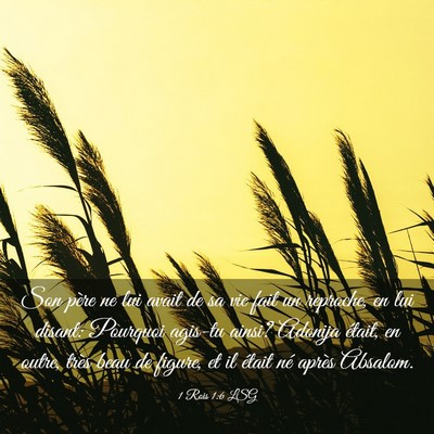 Picture 03 - 1 Rois 1:6 LSG - Son père ne lui avait de sa vie fait un - Bible Verse Picture