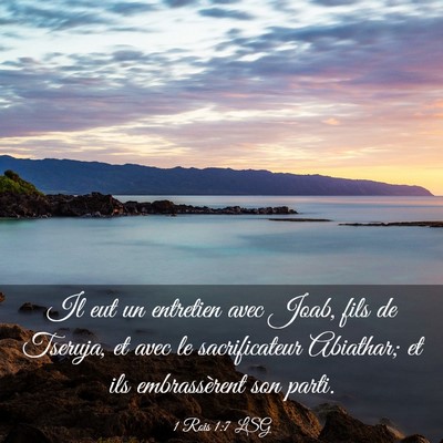 Picture 03 - 1 Rois 1:7 LSG - Il eut un entretien avec Joab, fils de Tseruja, - Bible Verse Picture
