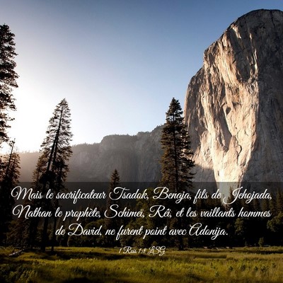 Picture 03 - 1 Rois 1:8 LSG - Mais le sacrificateur Tsadok, Benaja, fils de - Bible Verse Picture