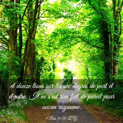 Picture 03 - 1 Rois 10:20 LSG - et douze lions sur les six degrés de part et - Bible Verse Picture