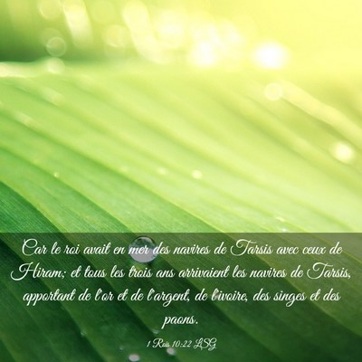 Picture 03 - 1 Rois 10:22 LSG - Car le roi avait en mer des navires de Tarsis - Bible Verse Picture