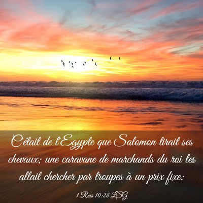 Picture 03 - 1 Rois 10:28 LSG - C'était de l'Egypte que Salomon tirait ses - Bible Verse Picture