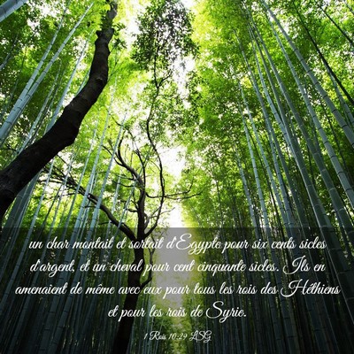 Picture 03 - 1 Rois 10:29 LSG - un char montait et sortait d'Egypte pour six - Bible Verse Picture