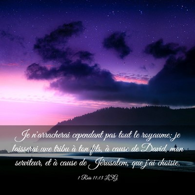 Picture 03 - 1 Rois 11:13 LSG - Je n'arracherai cependant pas tout le royaume; je - Bible Verse Picture
