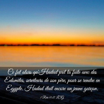 Picture 03 - 1 Rois 11:17 LSG - Ce fut alors qu'Hadad prit la fuite avec des - Bible Verse Picture