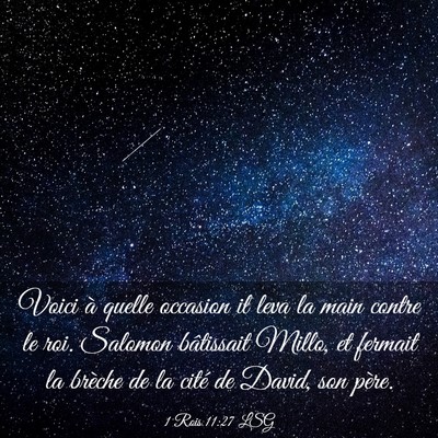 Picture 03 - 1 Rois 11:27 LSG - Voici à quelle occasion il leva la main contre - Bible Verse Picture