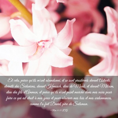 Picture 03 - 1 Rois 11:33 LSG - Et cela, parce qu'ils m'ont abandonné, et se - Bible Verse Picture