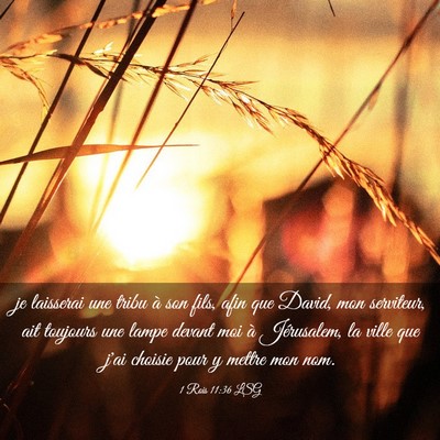 Picture 03 - 1 Rois 11:36 LSG - je laisserai une tribu à son fils, afin que - Bible Verse Picture
