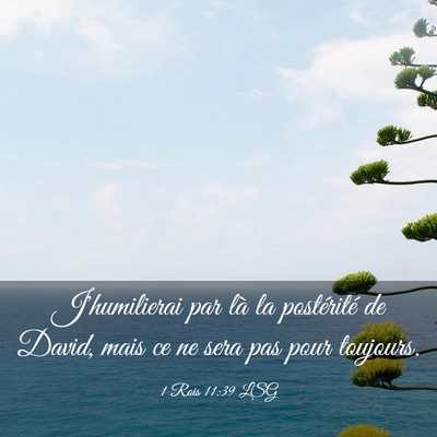 Picture 03 - 1 Rois 11:39 LSG - J'humilierai par là la postérité de David, - Bible Verse Picture