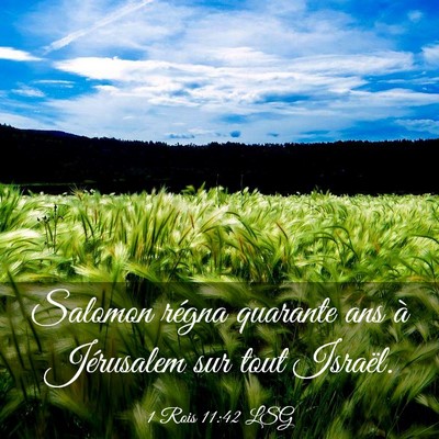 Picture 03 - 1 Rois 11:42 LSG - Salomon régna quarante ans à Jérusalem sur - Bible Verse Picture