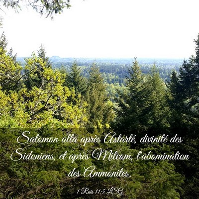Picture 03 - 1 Rois 11:5 LSG - Salomon alla après Astarté, divinité des - Bible Verse Picture