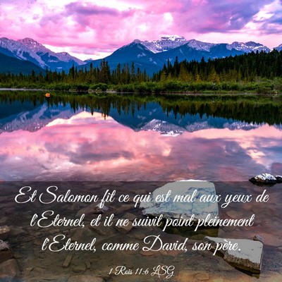 Picture 03 - 1 Rois 11:6 LSG - Et Salomon fit ce qui est mal aux yeux de - Bible Verse Picture