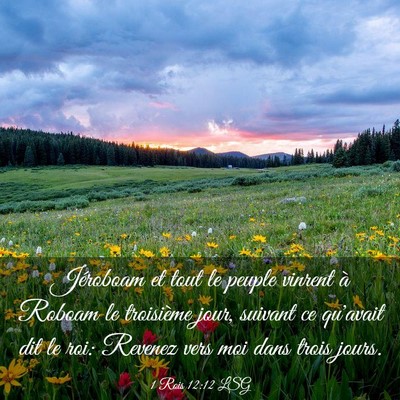 Picture 03 - 1 Rois 12:12 LSG - Jéroboam et tout le peuple vinrent à Roboam le - Bible Verse Picture