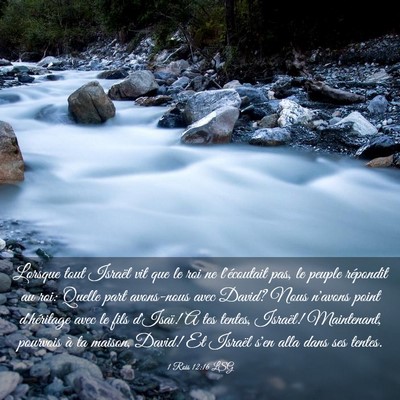 Picture 03 - 1 Rois 12:16 LSG - Lorsque tout Israël vit que le roi ne - Bible Verse Picture